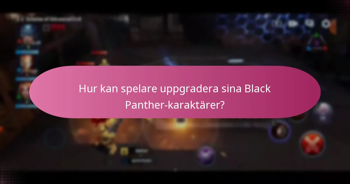 Vilka exklusiva erbjudanden finns tillgängliga för Black Panther-produkter?
